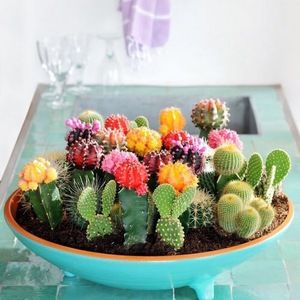 Meet your Posher, Mrs